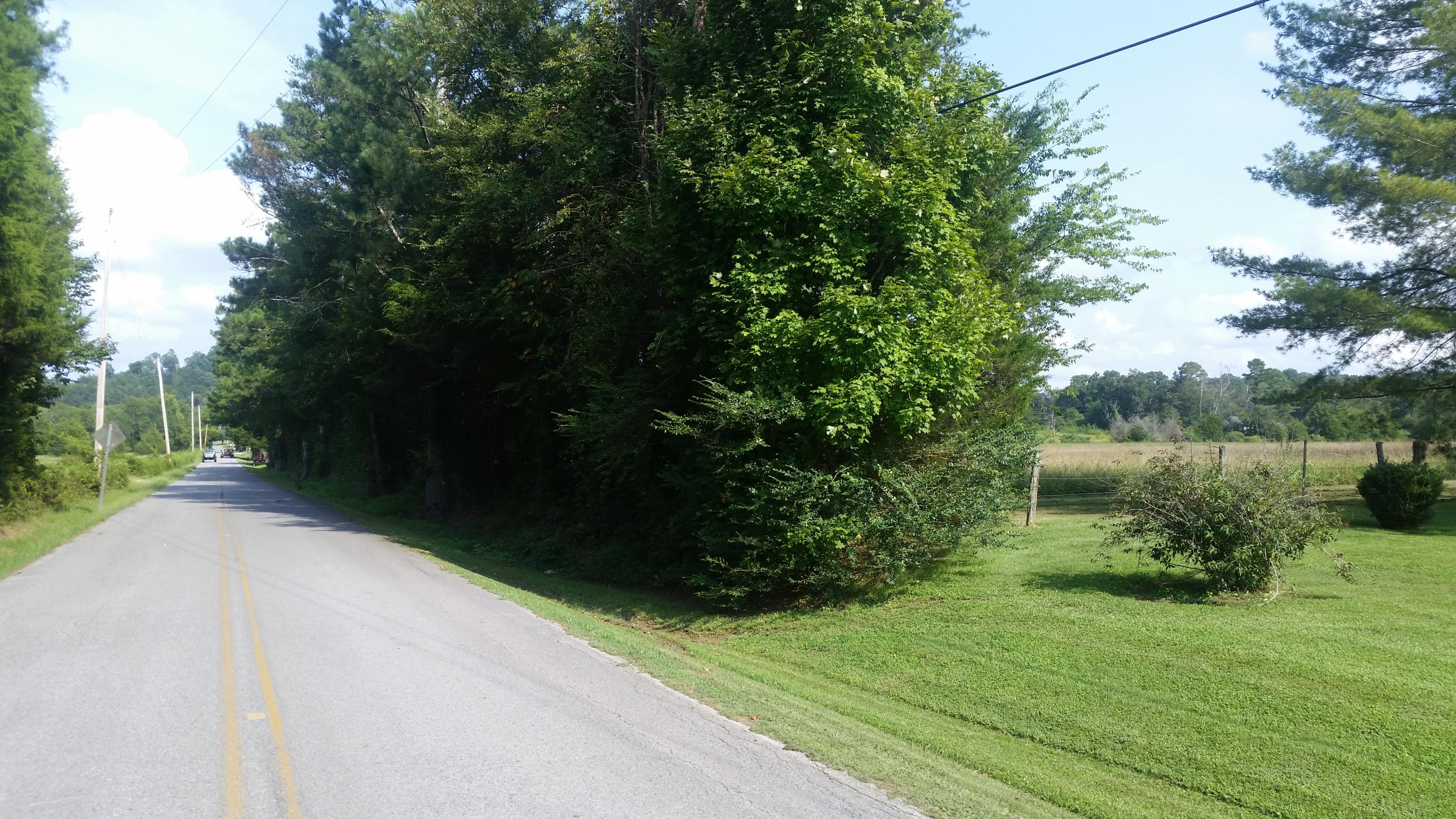 0 Goodson Circle Rock Spring, GA 30739 - Photo 2 of 4 20180820_164742