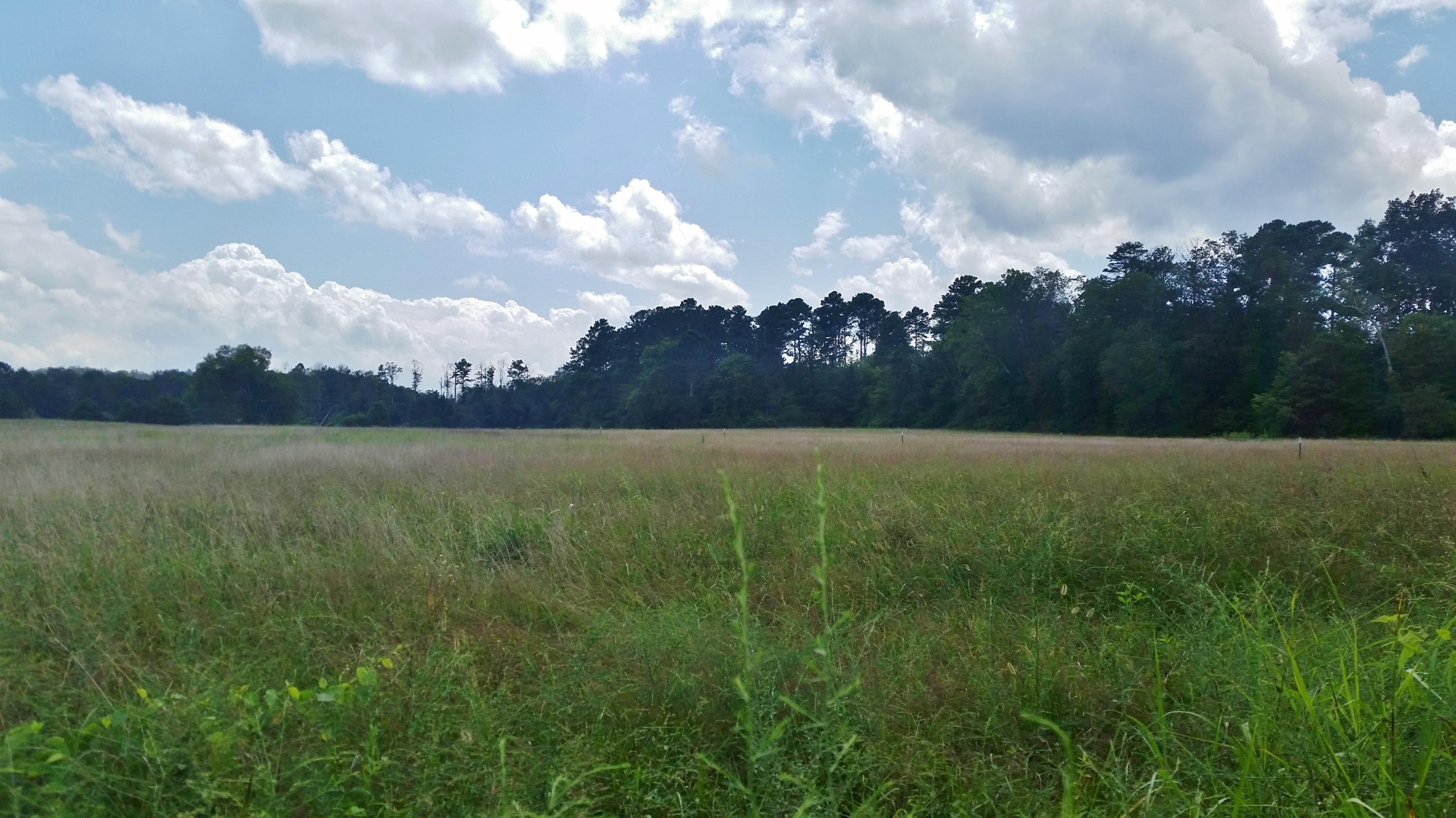 0 Goodson Circle Rock Spring, GA 30739 - Photo 3 of 4 20180821_145644