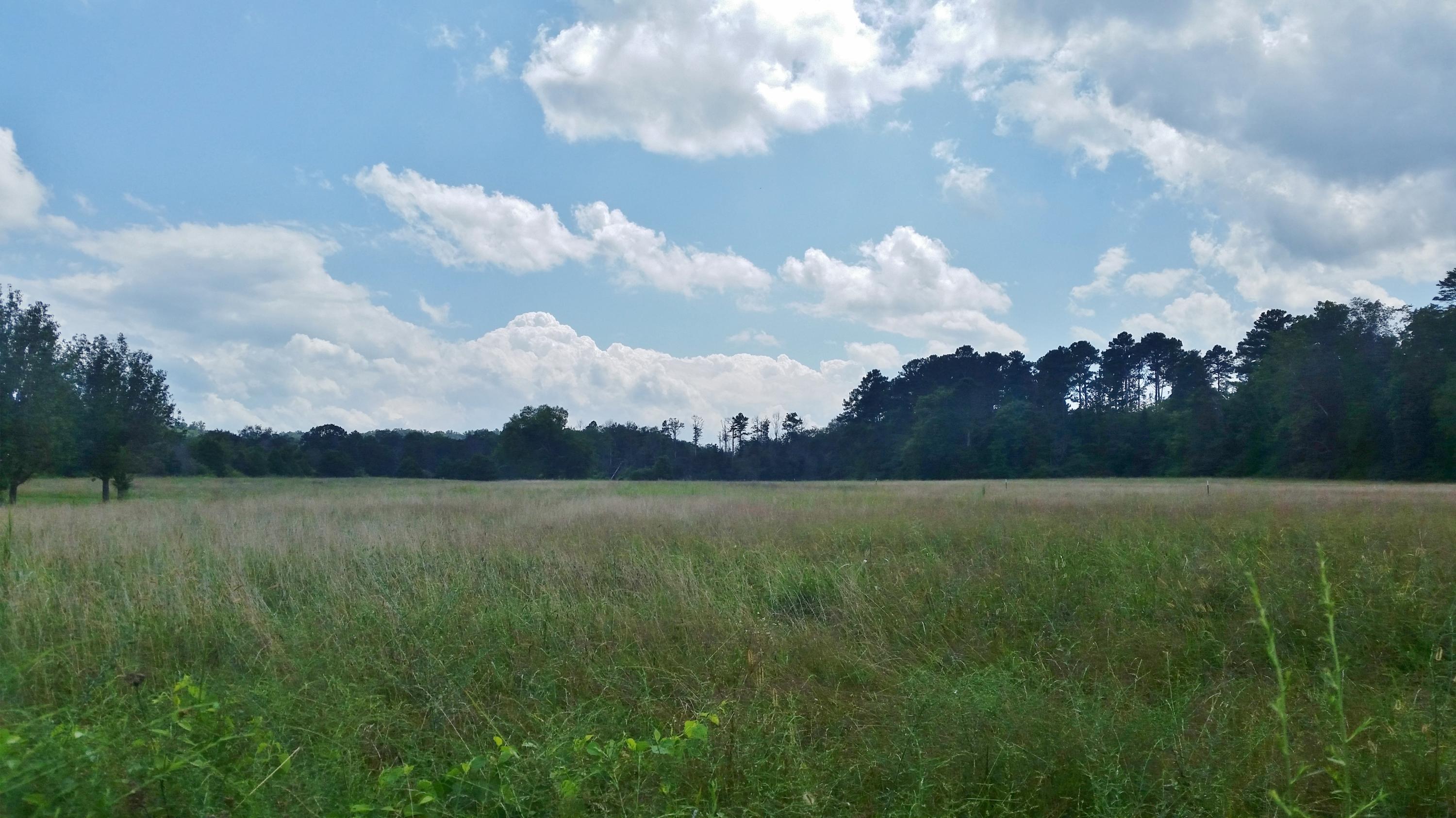 0 Goodson Circle Rock Spring, GA 30739 - Photo 4 of 4 20180821_145647 (1)