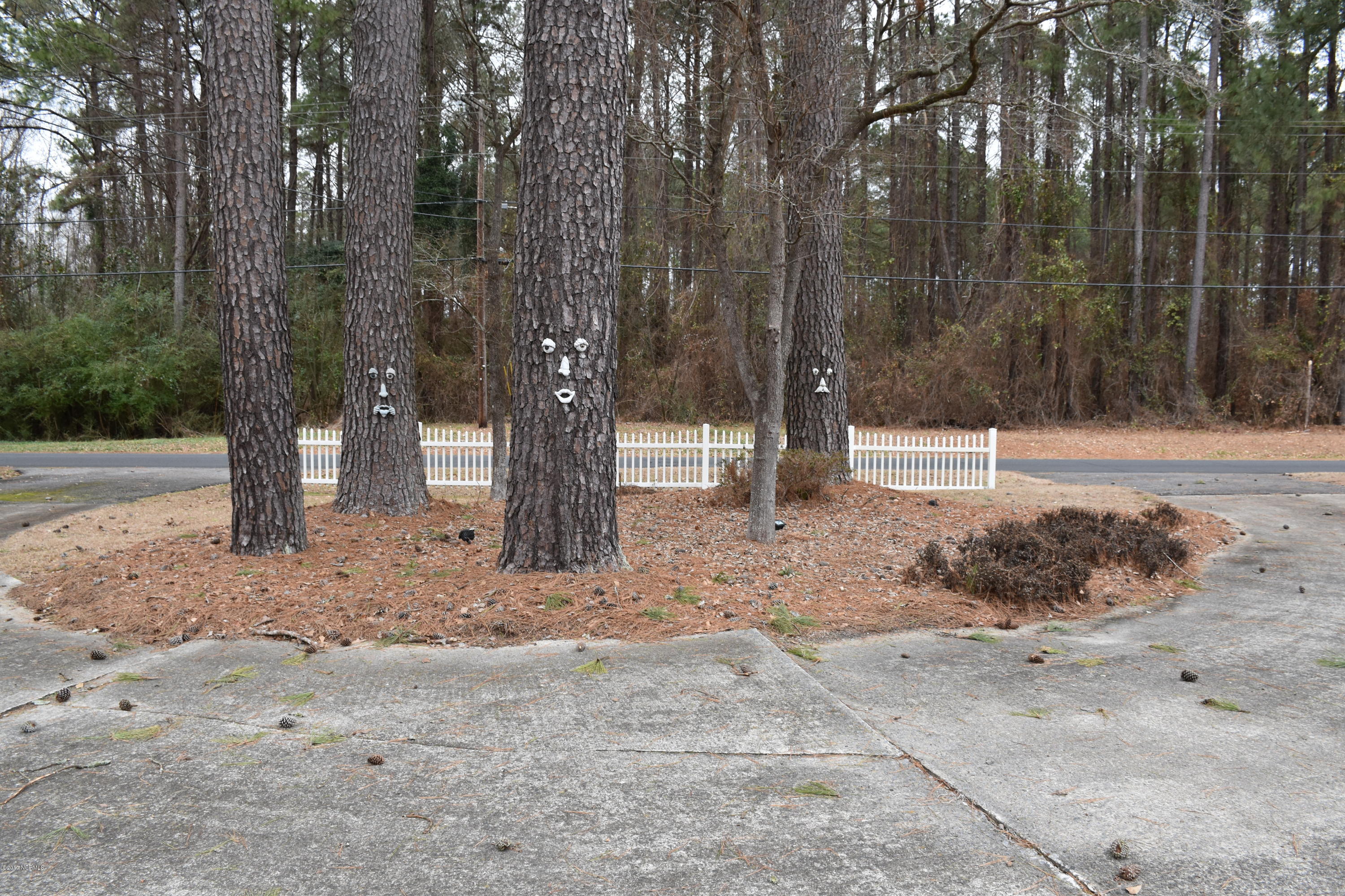109 Ridgewood Circle Washington, NC 27889 - Photo 11 of 49 Circular Drive