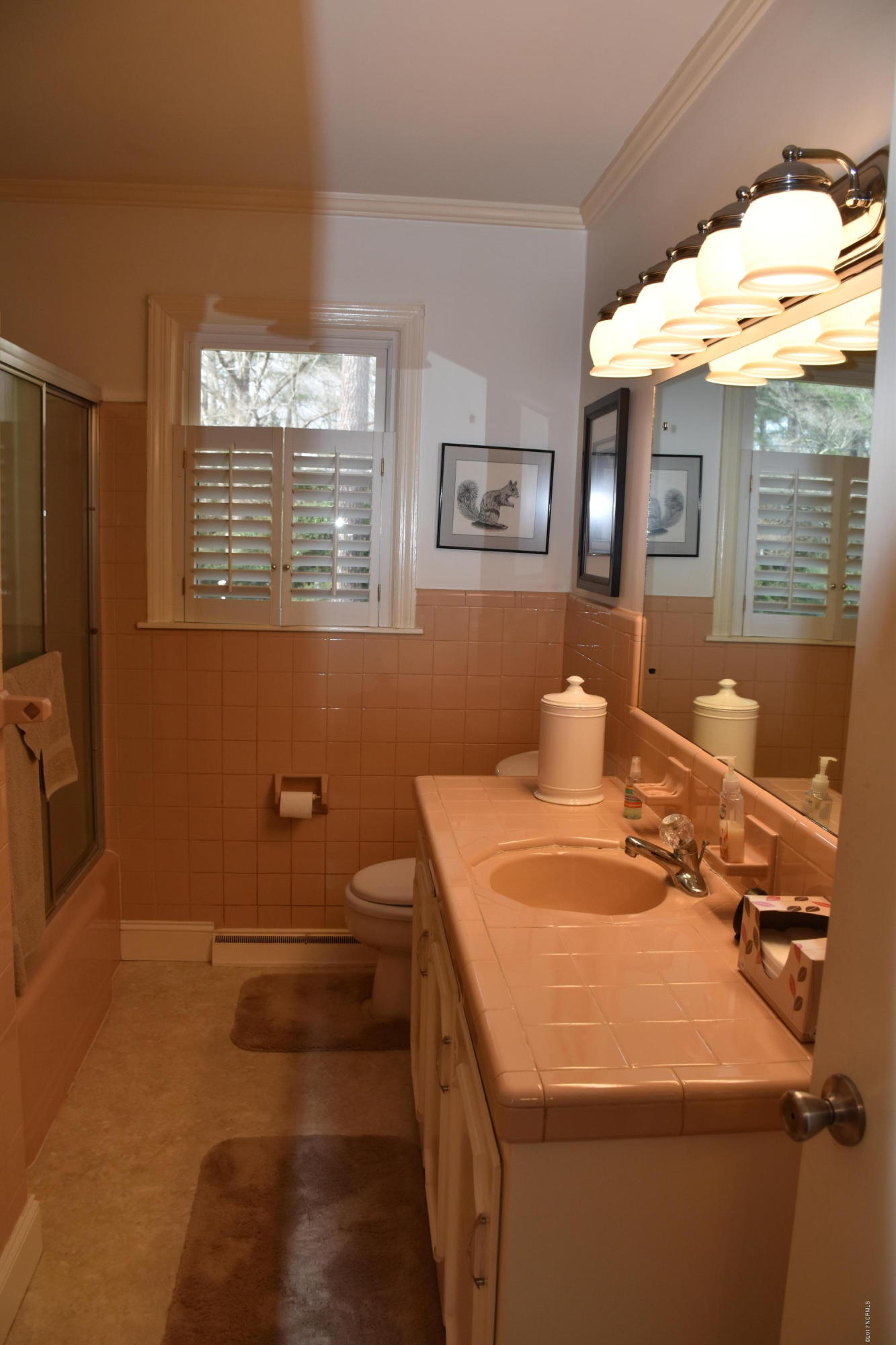 109 Ridgewood Circle Washington, NC 27889 - Photo 42 of 49 Main Bath
