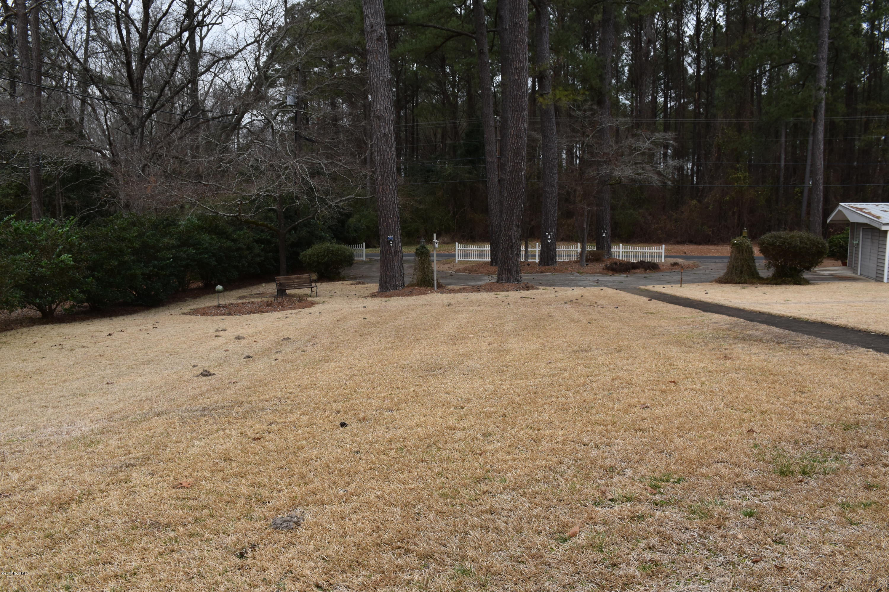 109 Ridgewood Circle Washington, NC 27889 - Photo 8 of 49 Backyard