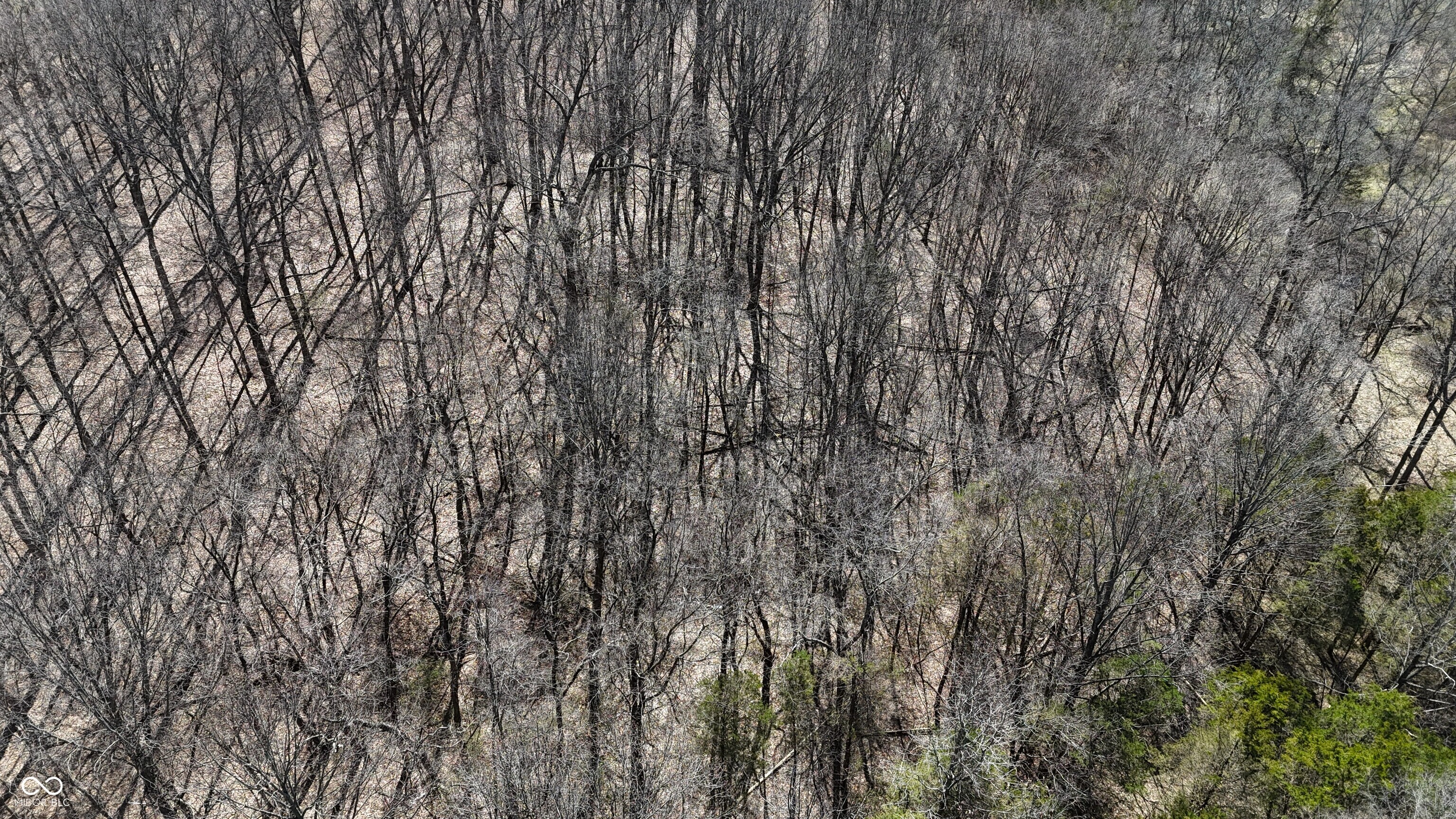 0 Spangler Road Dillsboro, IN 47018 - Photo 17 of 46