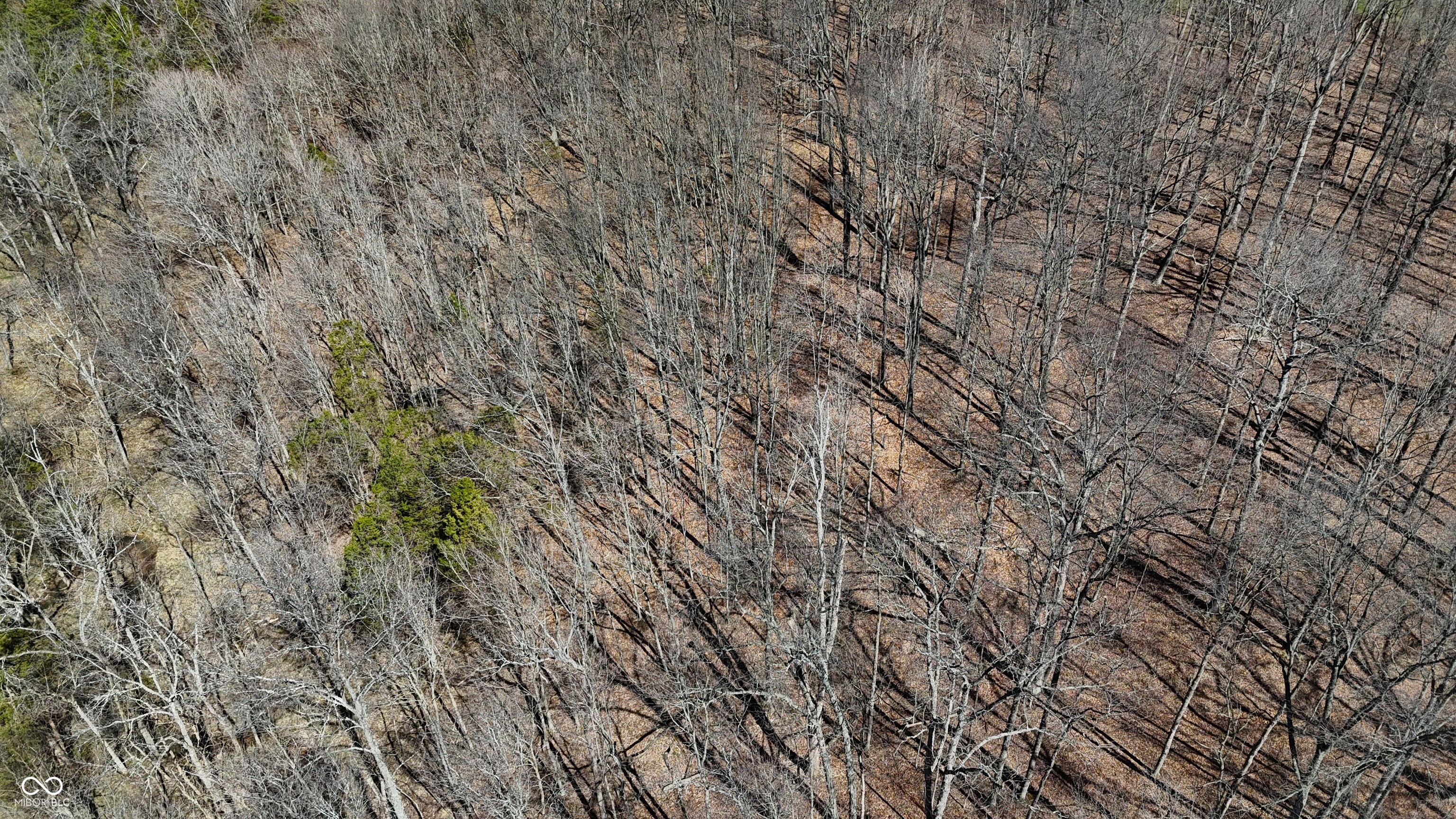 0 Spangler Road Dillsboro, IN 47018 - Photo 18 of 46