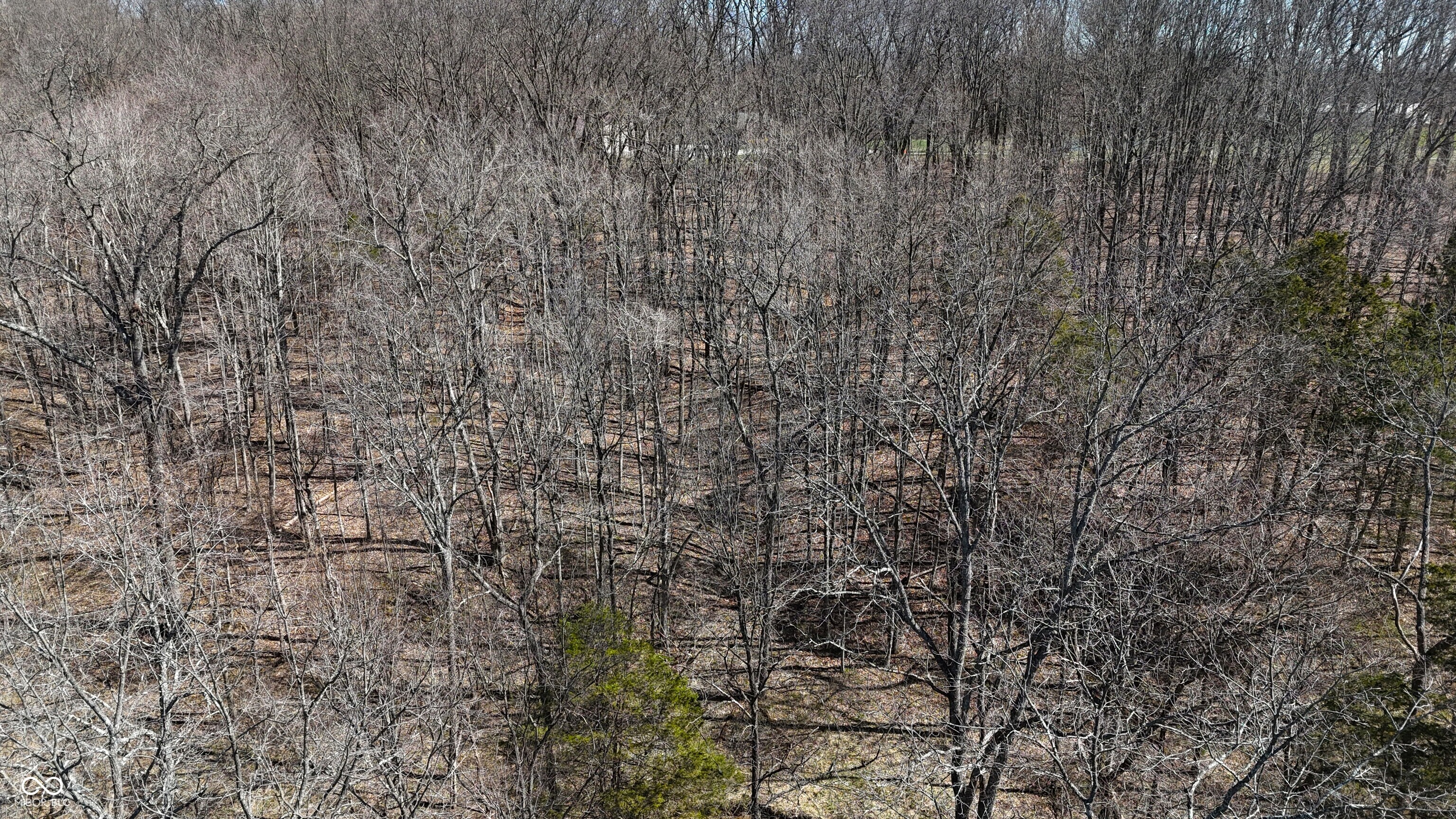 0 Spangler Road Dillsboro, IN 47018 - Photo 19 of 46