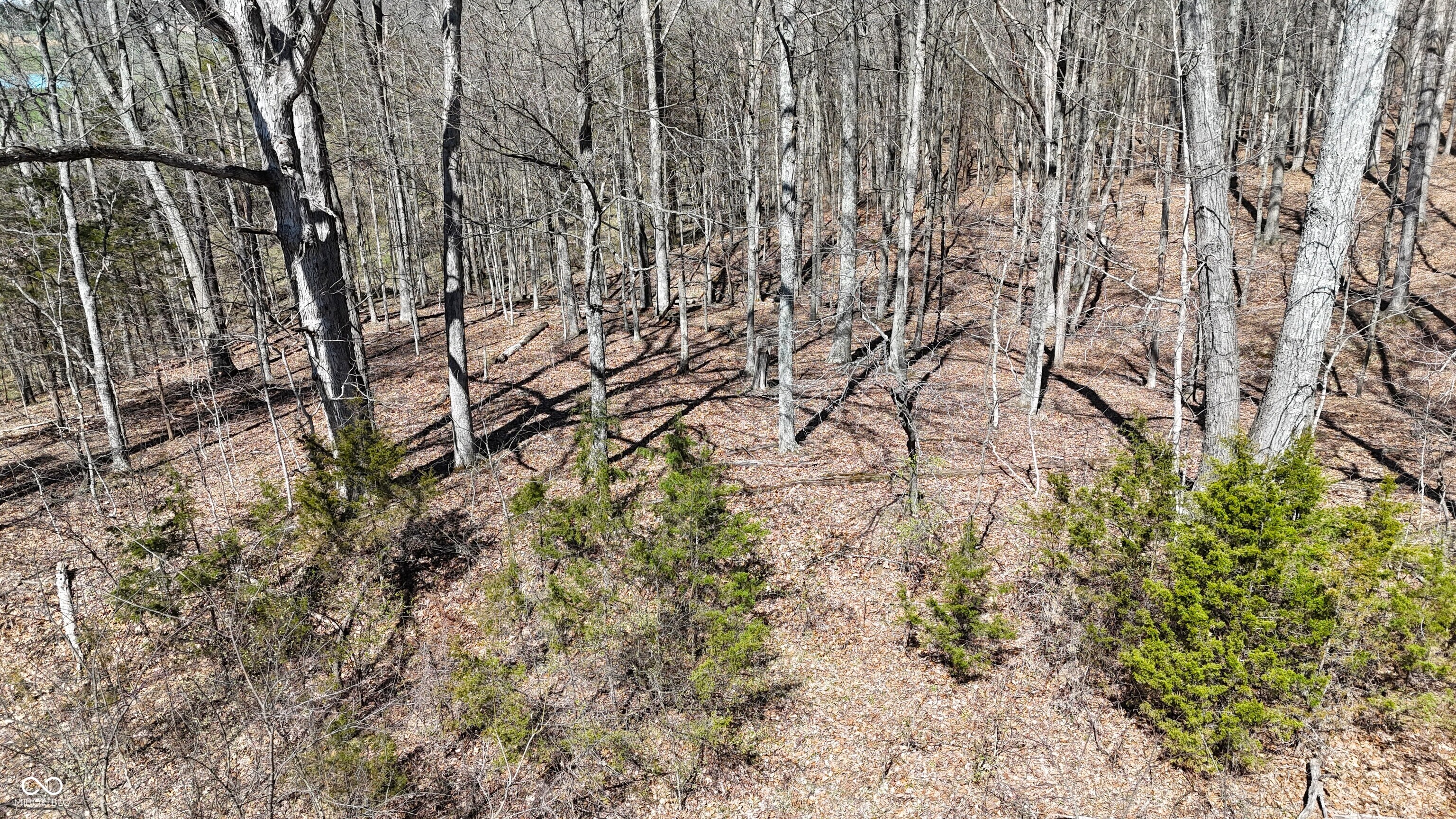 0 Spangler Road Dillsboro, IN 47018 - Photo 24 of 46