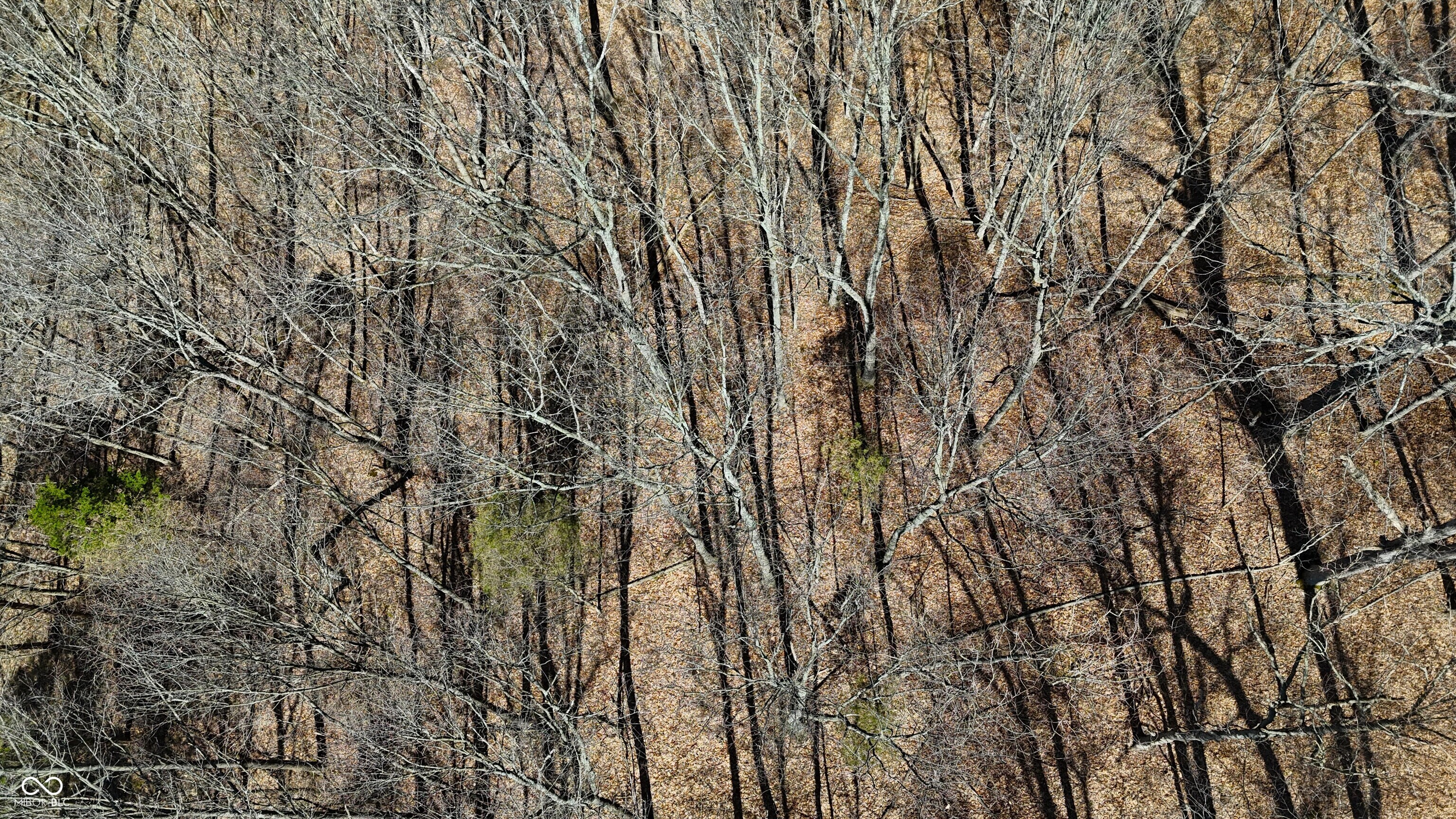 0 Spangler Road Dillsboro, IN 47018 - Photo 25 of 46
