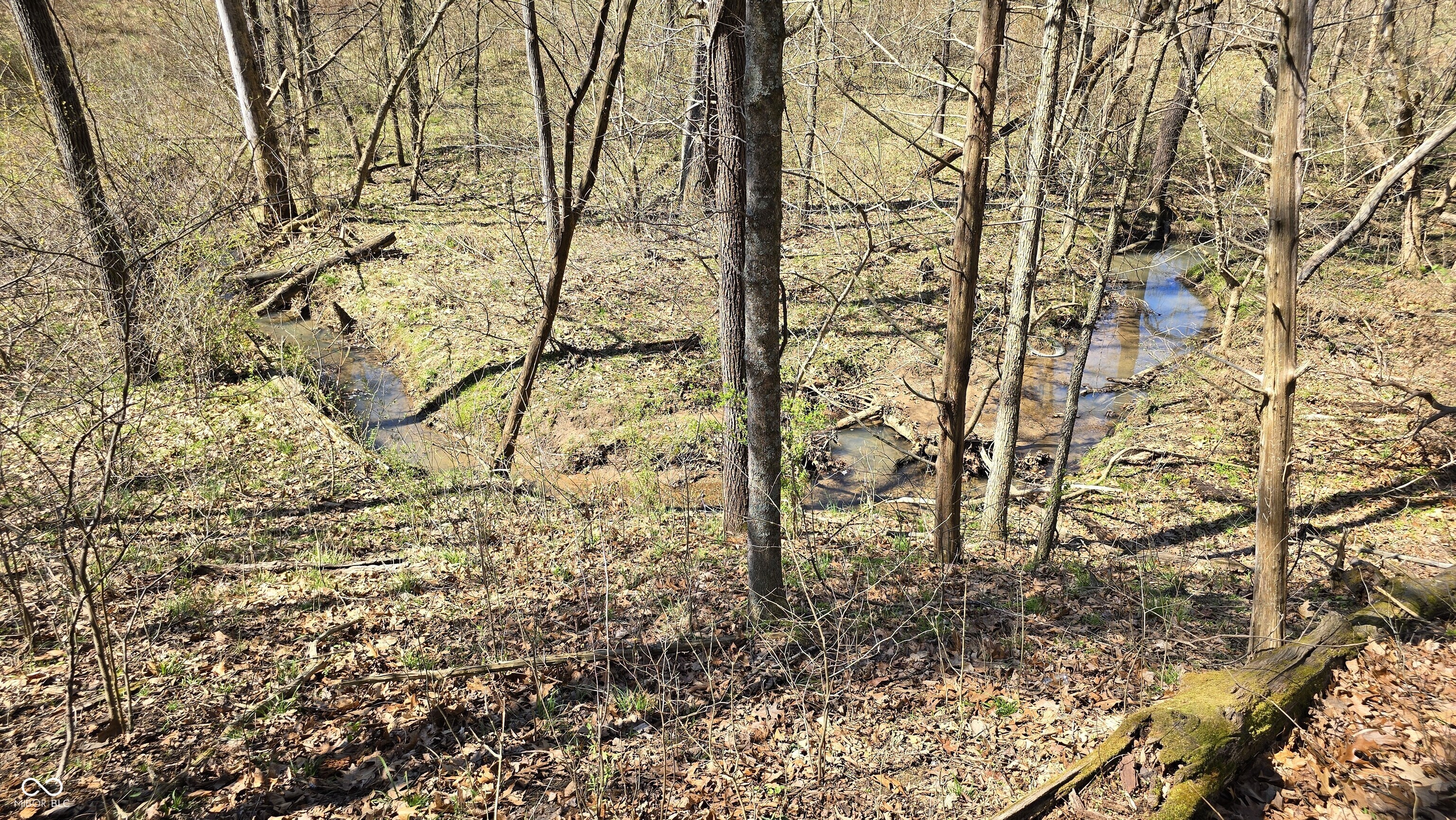 0 Spangler Road Dillsboro, IN 47018 - Photo 26 of 46