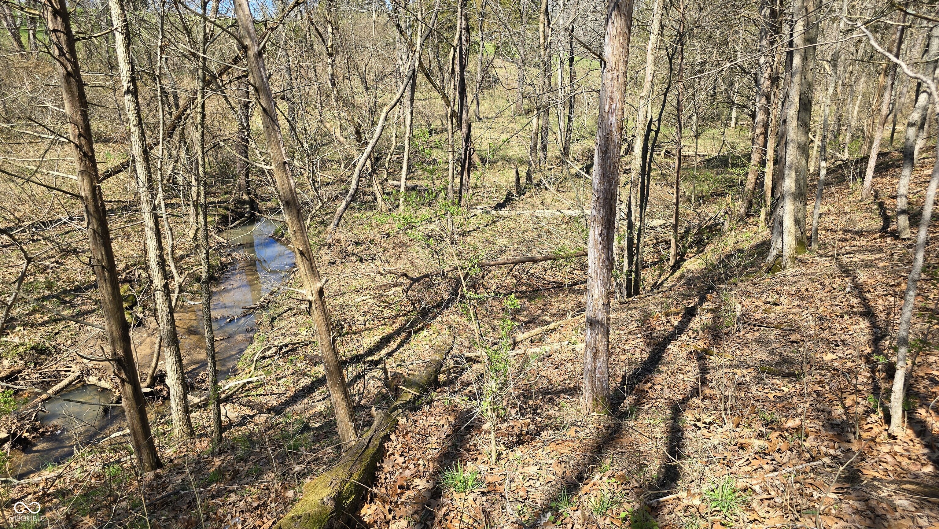 0 Spangler Road Dillsboro, IN 47018 - Photo 27 of 46