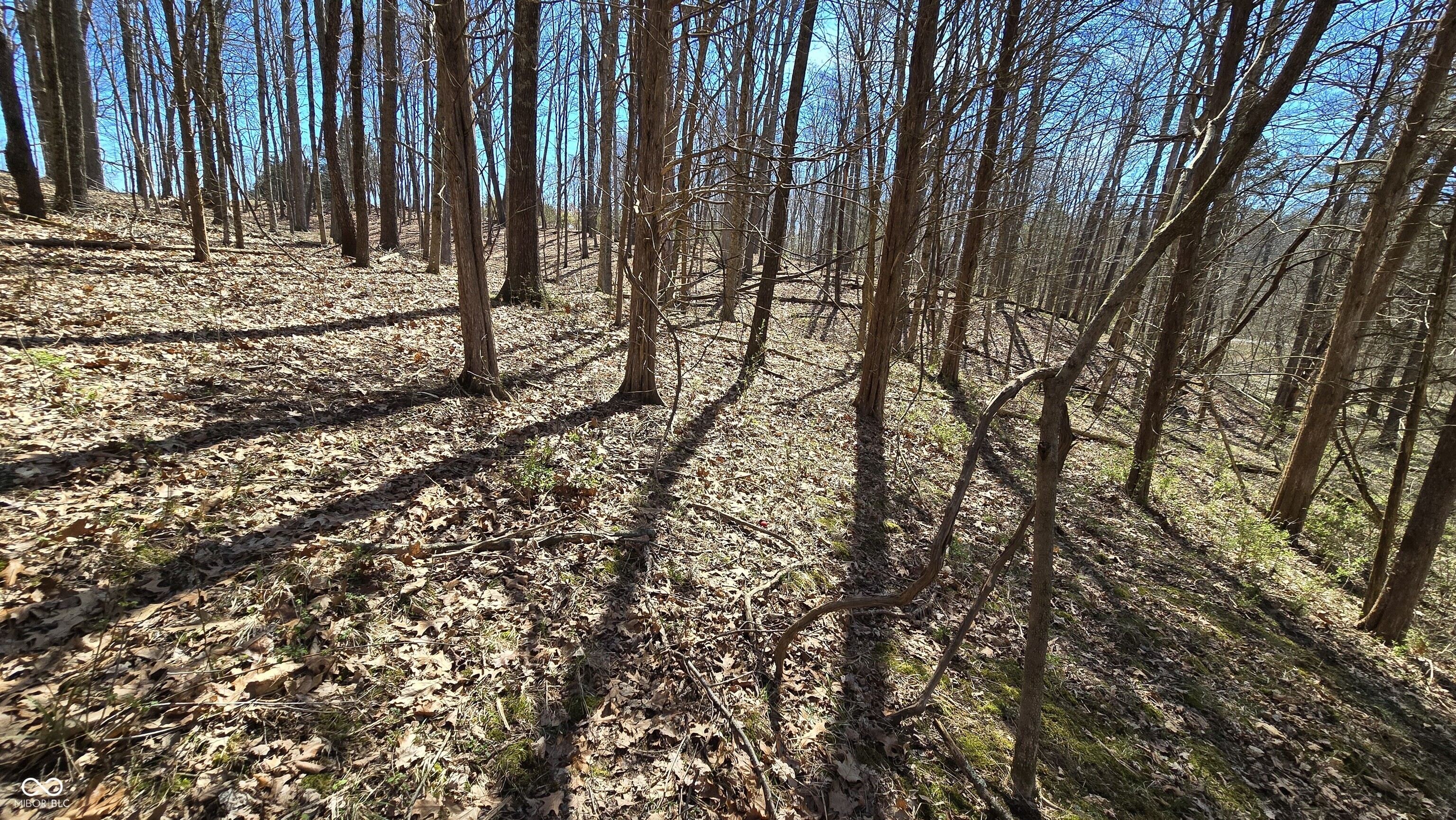 0 Spangler Road Dillsboro, IN 47018 - Photo 29 of 46