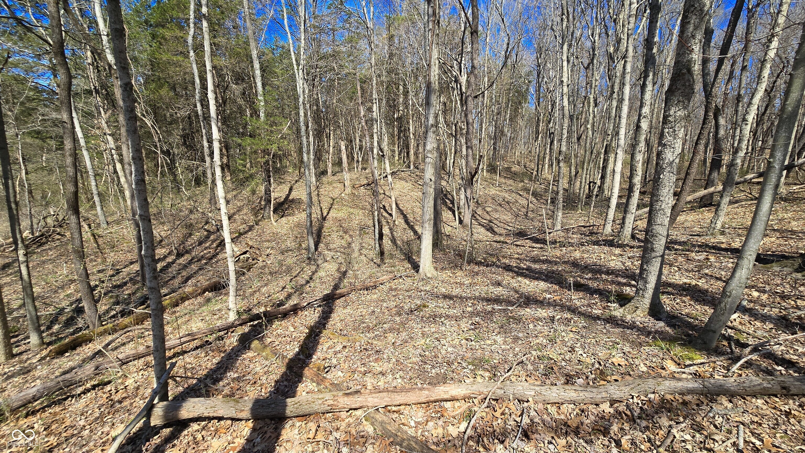 0 Spangler Road Dillsboro, IN 47018 - Photo 3 of 46