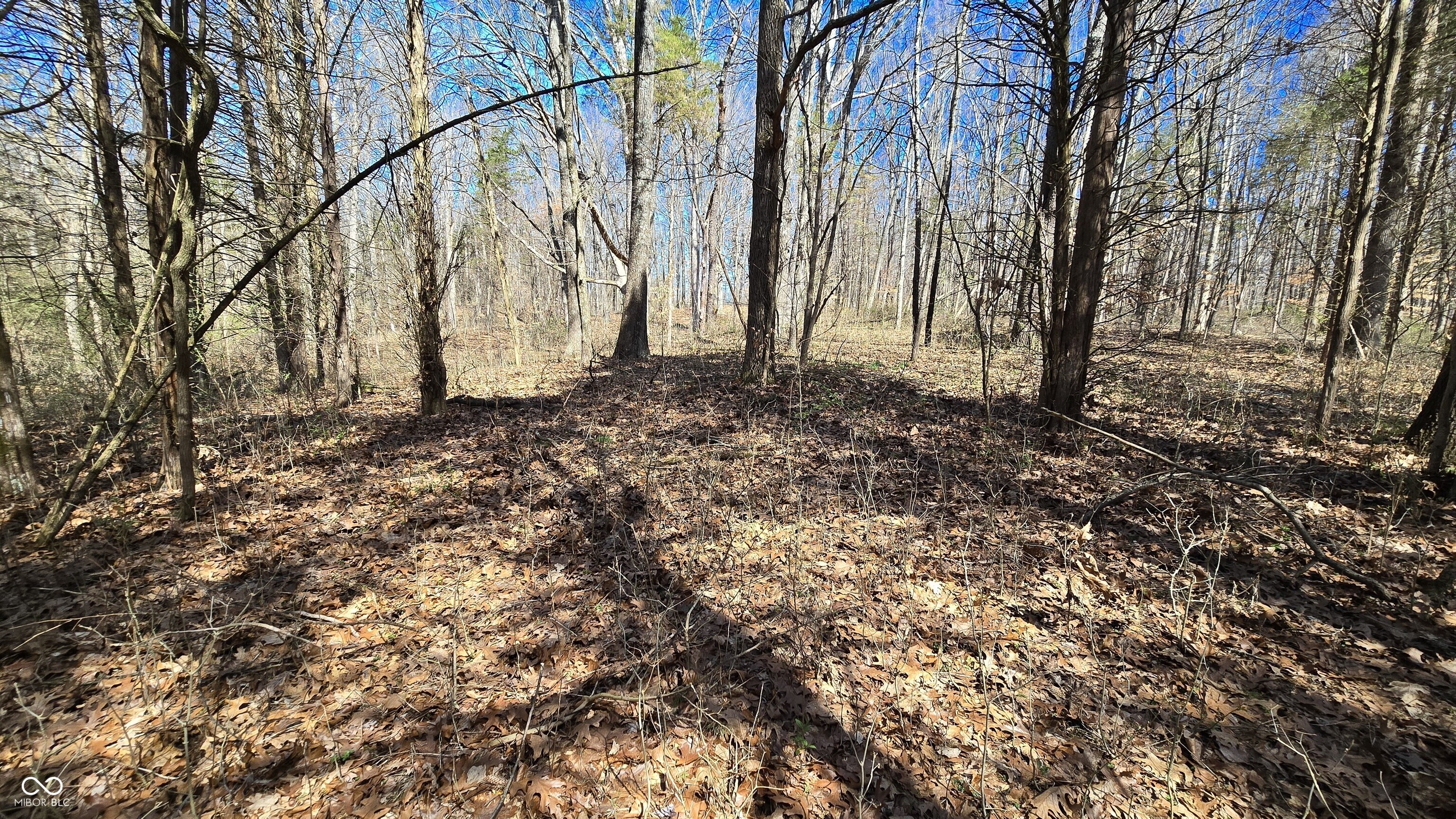 0 Spangler Road Dillsboro, IN 47018 - Photo 31 of 46