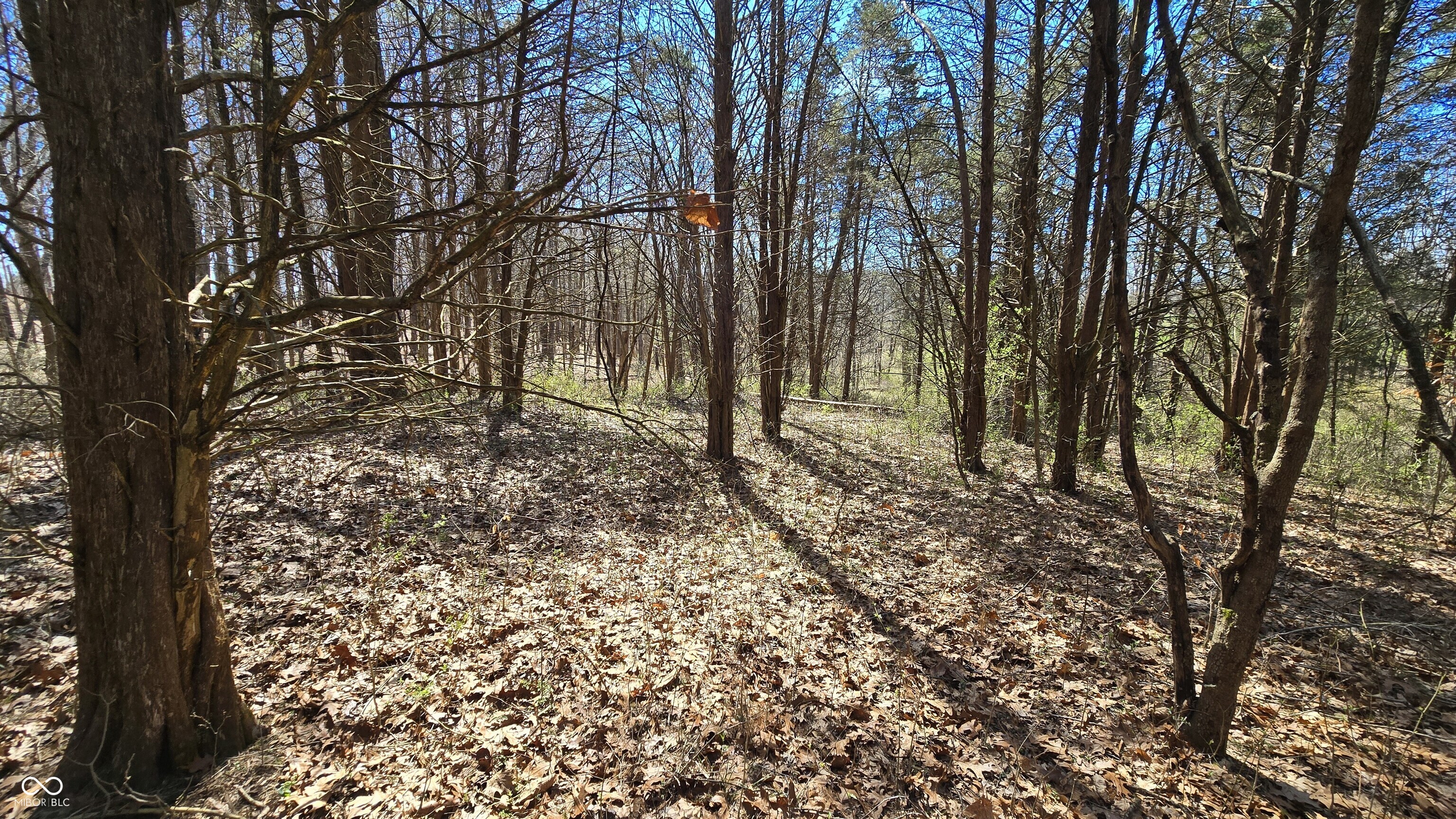 0 Spangler Road Dillsboro, IN 47018 - Photo 32 of 46