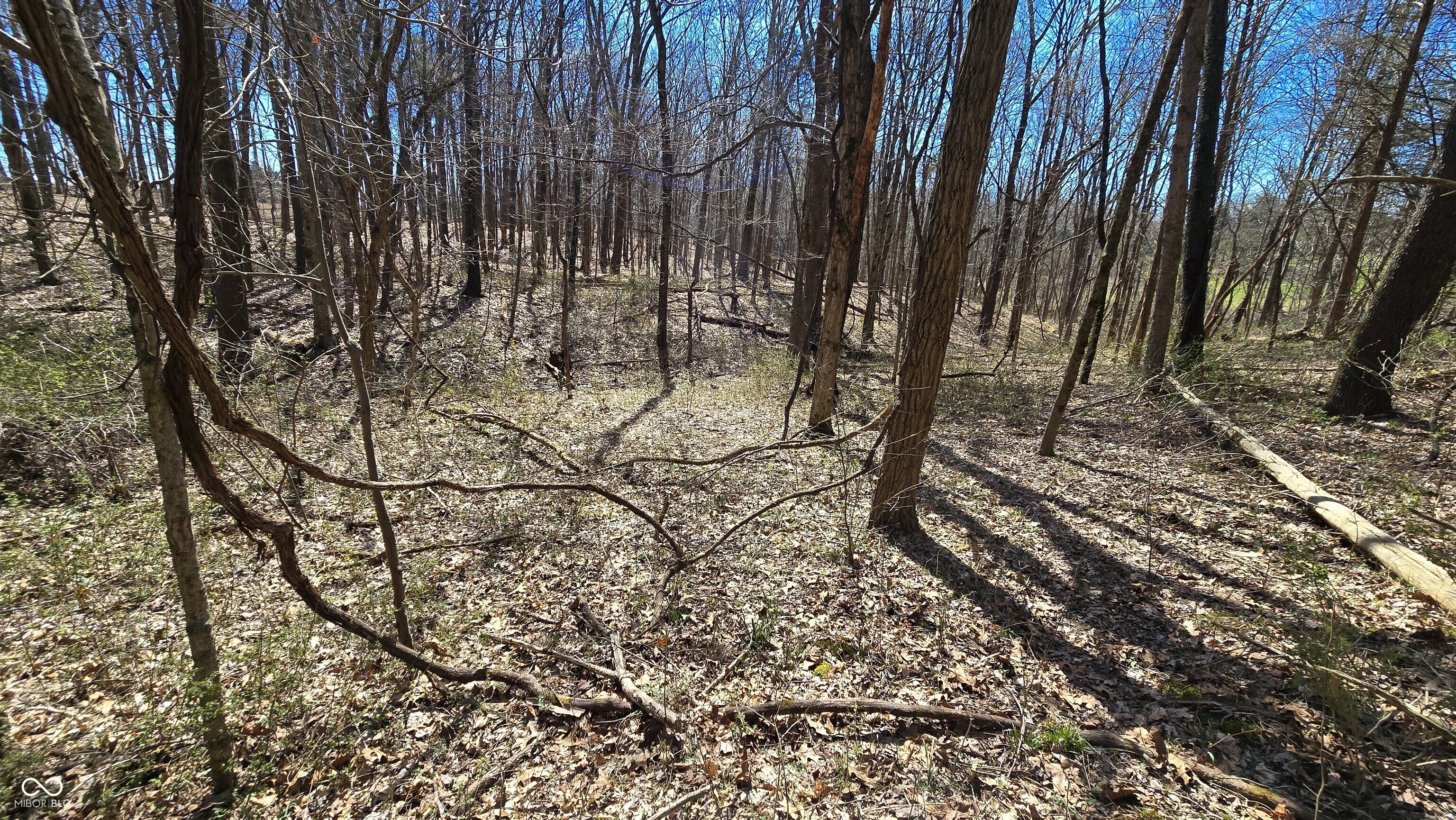 0 Spangler Road Dillsboro, IN 47018 - Photo 33 of 46