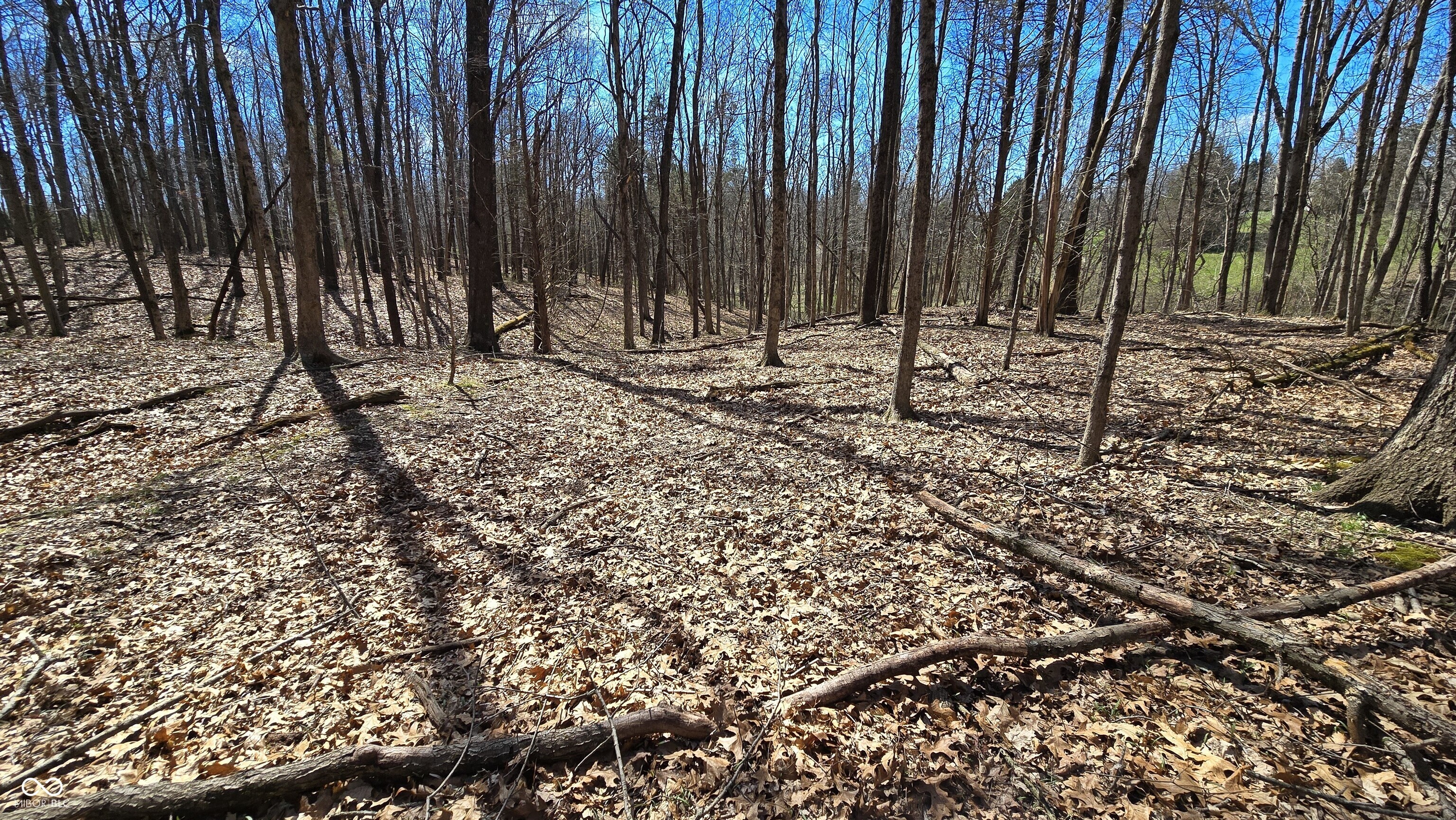 0 Spangler Road Dillsboro, IN 47018 - Photo 34 of 46