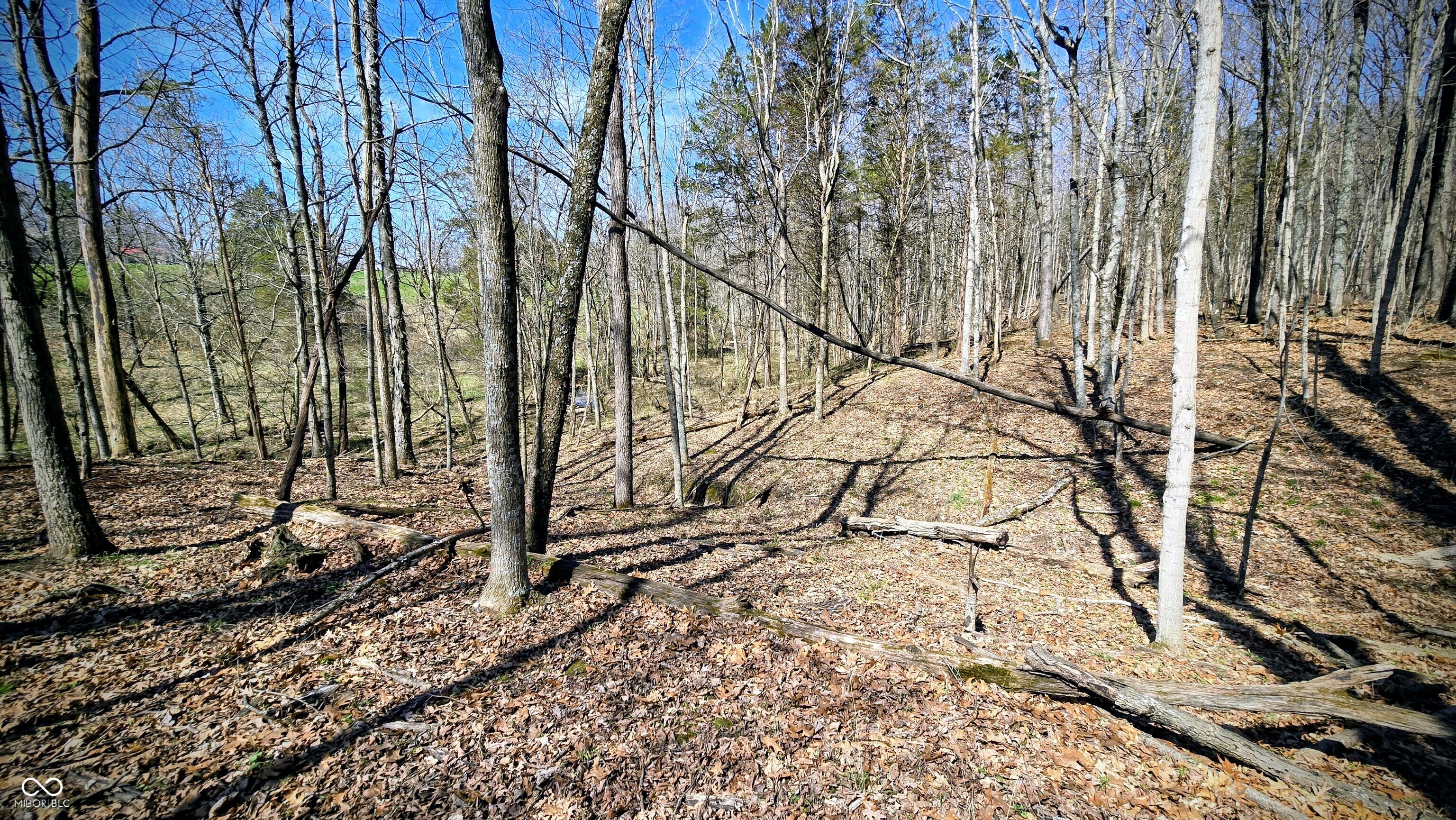 0 Spangler Road Dillsboro, IN 47018 - Photo 36 of 46