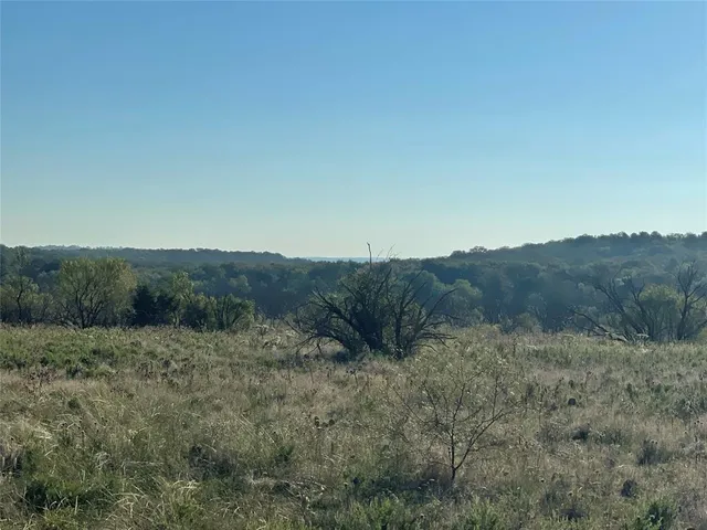 a view of a dry field with trees in the background