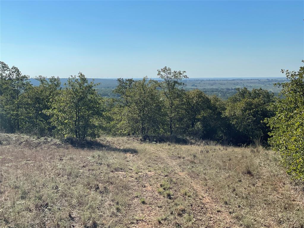 4964 Fm 2190, Unit 40 Jacksboro, TX 76458 - Photo 6 of 40 a view of a yard