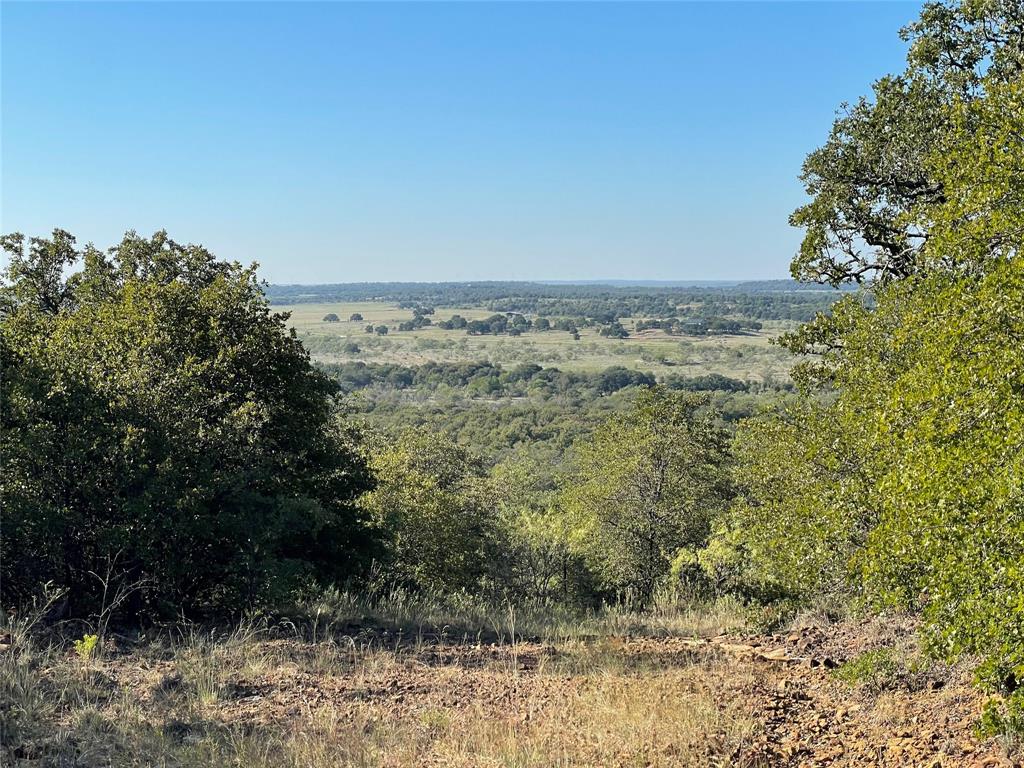 4964 Fm 2190, Unit 40 Jacksboro, TX 76458 - Photo 7 of 40 a view of a yard with a tree