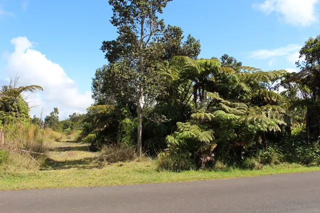 $70,000 | Lot 53-b-449 Lot 53-b-449 Nahelenani Street, Volcano, HI 96785