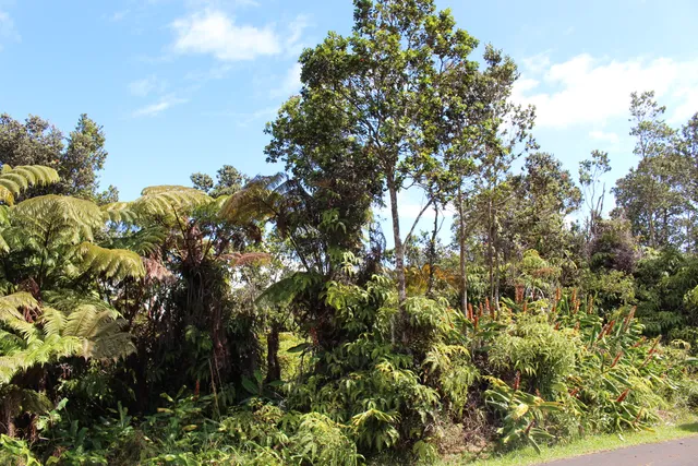 $70,000 | Lot 53-b-449 Lot 53-b-449 Nahelenani Street, Volcano, HI 96785