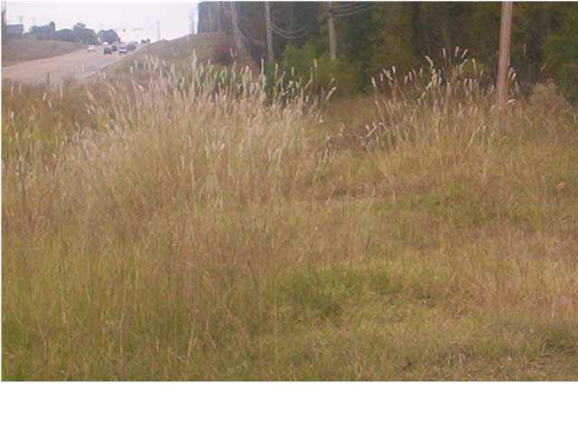 0 Highway 80 Highway, Unit W HIGHWAY 80 Clinton, MS 39209 - Photo 3 of 5 Photo 3