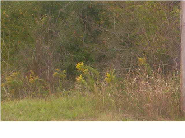 0 Highway 80 Highway, Unit W HIGHWAY 80 Clinton, MS 39209 - Photo 4 of 5 Photo 4