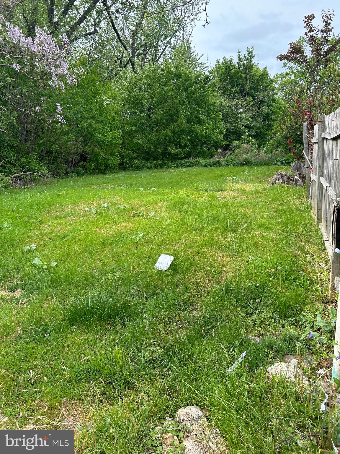 6 Old Ashton Road Philadelphia, PA 19152 - Photo 2 of 2 a view of a big yard with a small plants and large trees