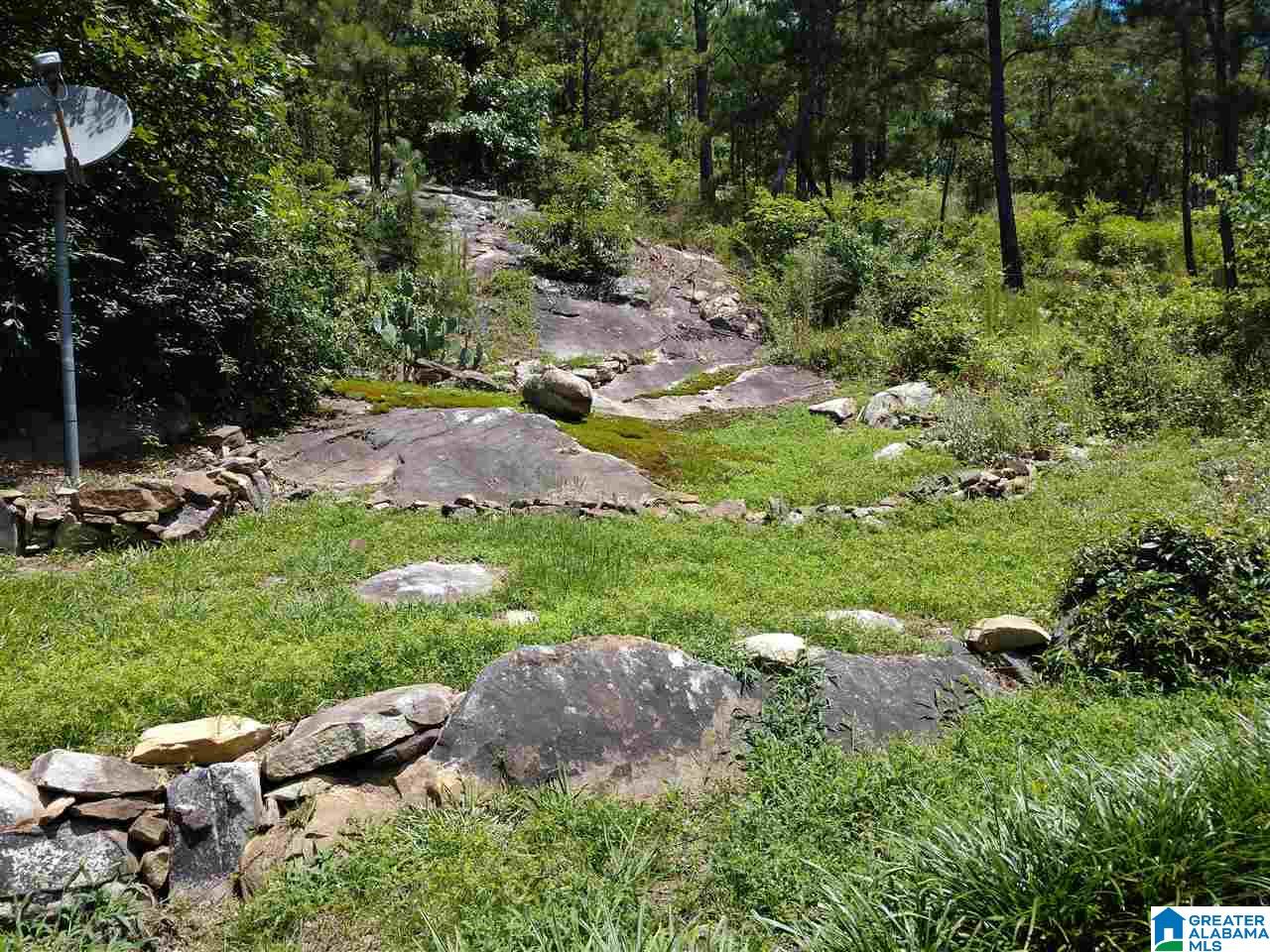 306 Cannon Ball Road Jacksonville, AL 36265 - Photo 8 of 25
