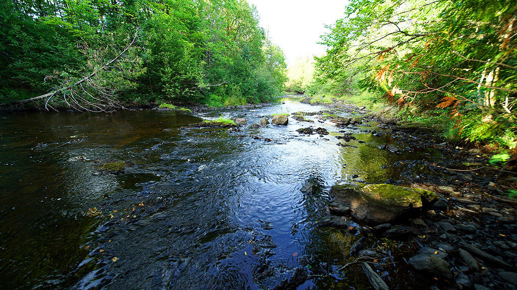 207 Hodgdon Mills Road Hodgdon, ME 04730 - Photo 38 of 42 207-hodgdon-mills-rd