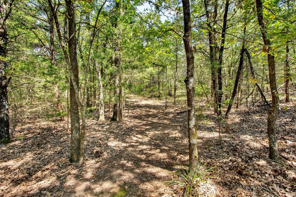 1793 Greer Road Sadler, TX 76264 - Photo 32 of 35 Very well-maintained trails throughout the woods at rear of property