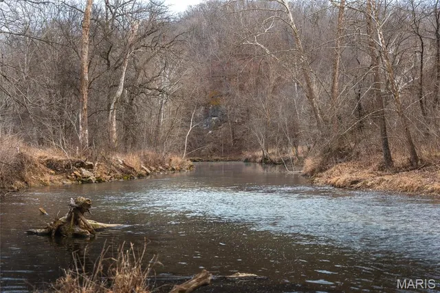 $1 | 0 County Road 6670, Salem, MO 65560