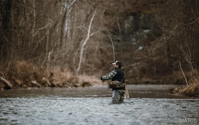 $1 | 0 County Road 6670, Salem, MO 65560