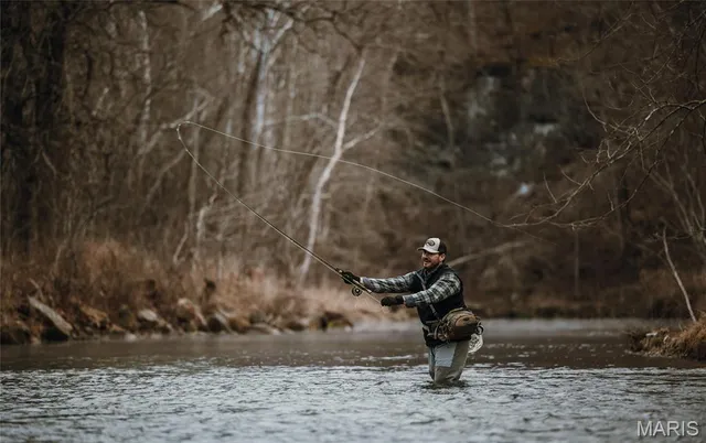 $1 | 0 County Road 6670, Salem, MO 65560