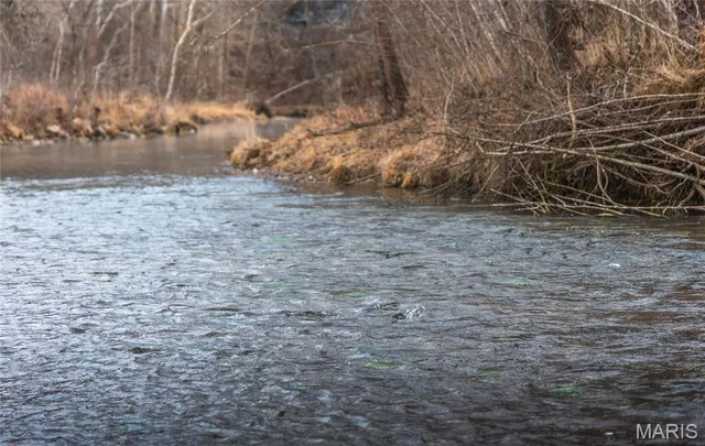 $1 | 0 County Road 6670, Salem, MO 65560