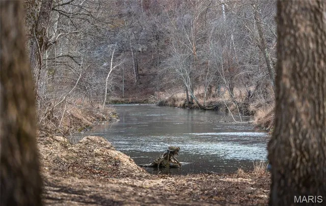 $1 | 0 County Road 6670, Salem, MO 65560