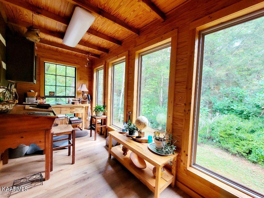 618 Coon Hollow Road Sunbright, TN 37872 - Photo 19 of 60 Back Sunroom Main