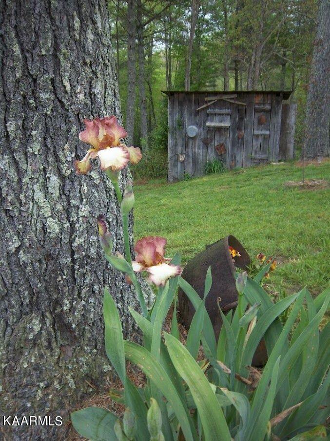 618 Coon Hollow Road Sunbright, TN 37872 - Photo 37 of 60 Hen house