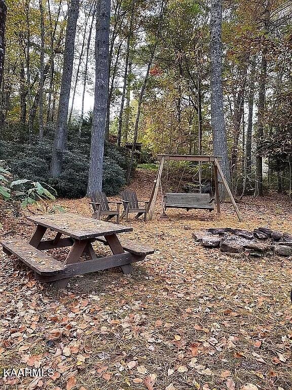 618 Coon Hollow Road Sunbright, TN 37872 - Photo 39 of 60 Camp here