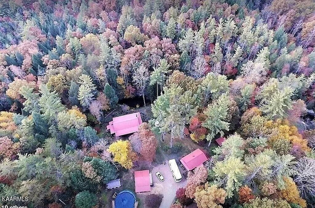 618 Coon Hollow Road Sunbright, TN 37872 - Photo 4 of 60 Over 22 acres!