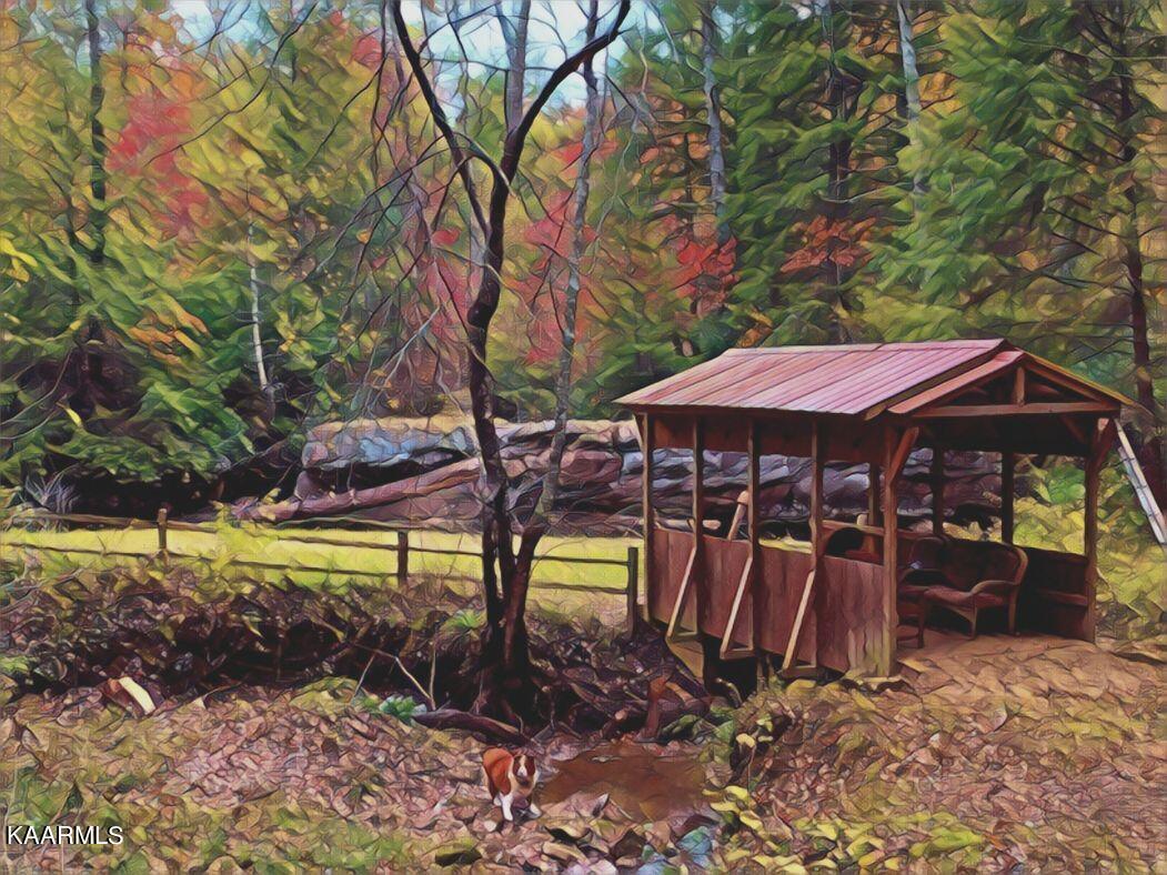 618 Coon Hollow Road Sunbright, TN 37872 - Photo 41 of 60 Coverd bridge in fall