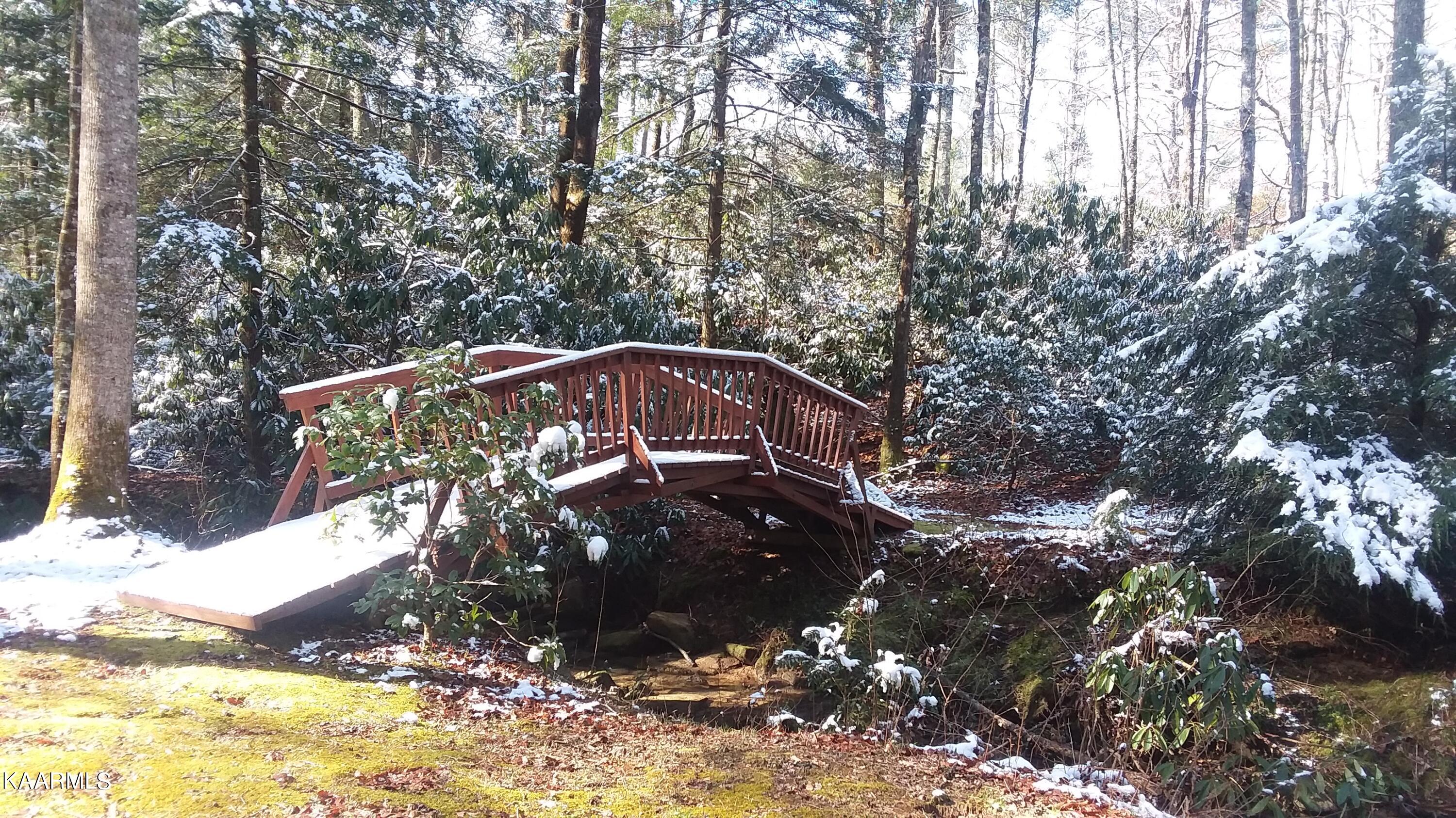 618 Coon Hollow Road Sunbright, TN 37872 - Photo 42 of 60 foot bridge