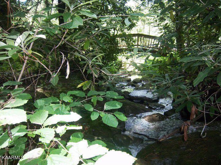 618 Coon Hollow Road Sunbright, TN 37872 - Photo 43 of 60 Creek/Bridge