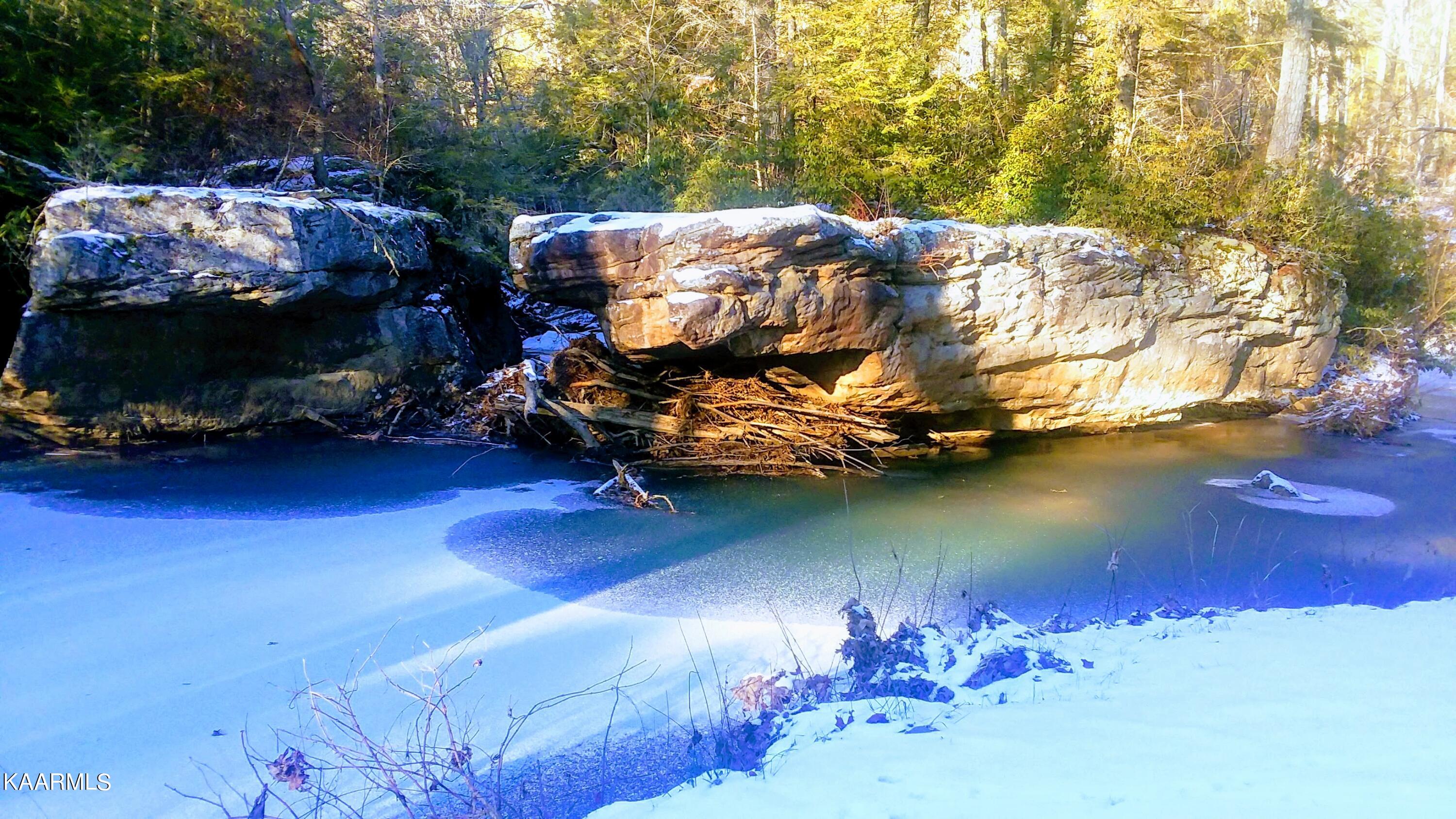 618 Coon Hollow Road Sunbright, TN 37872 - Photo 45 of 60 creek in winter