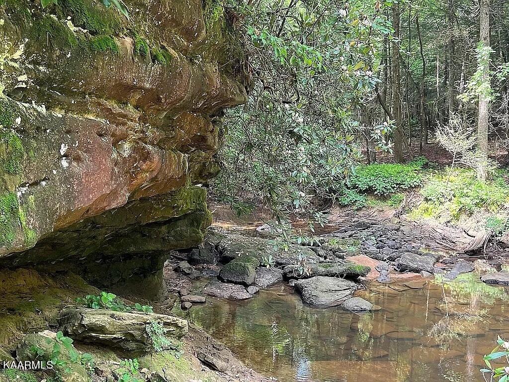 618 Coon Hollow Road Sunbright, TN 37872 - Photo 50 of 60 Cliff at creek