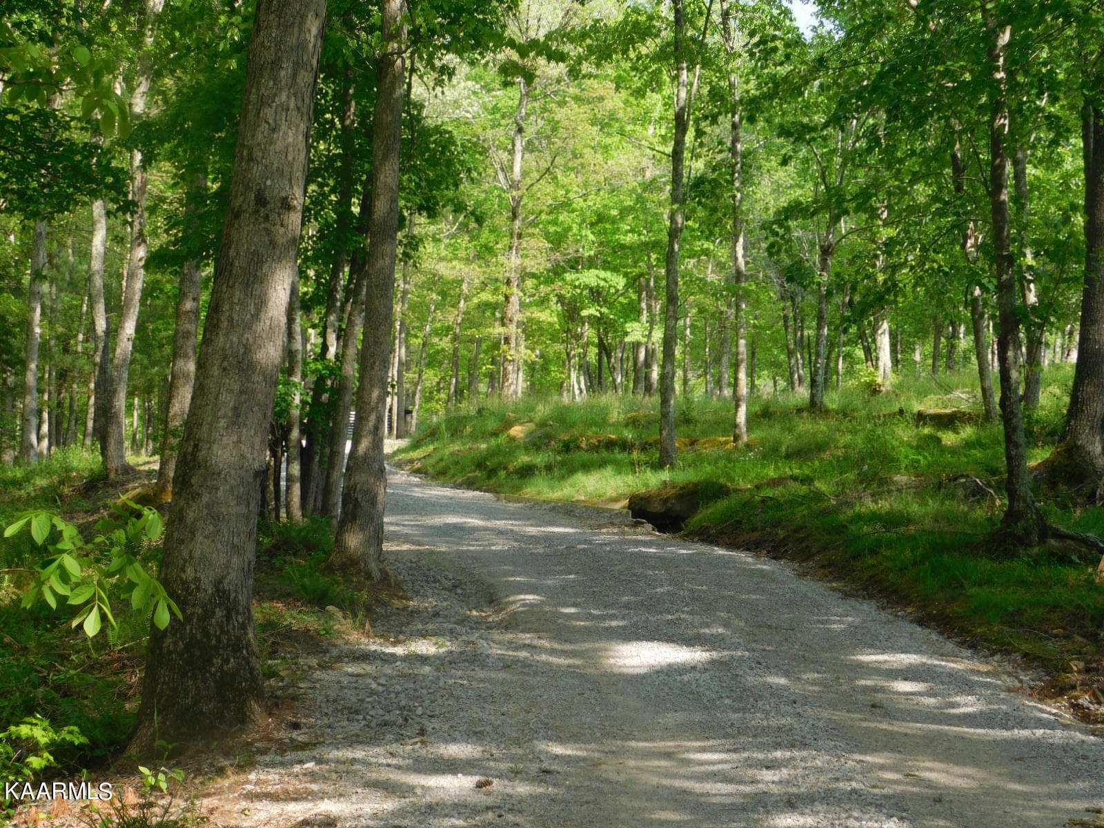 618 Coon Hollow Road Sunbright, TN 37872 - Photo 51 of 60 Drive