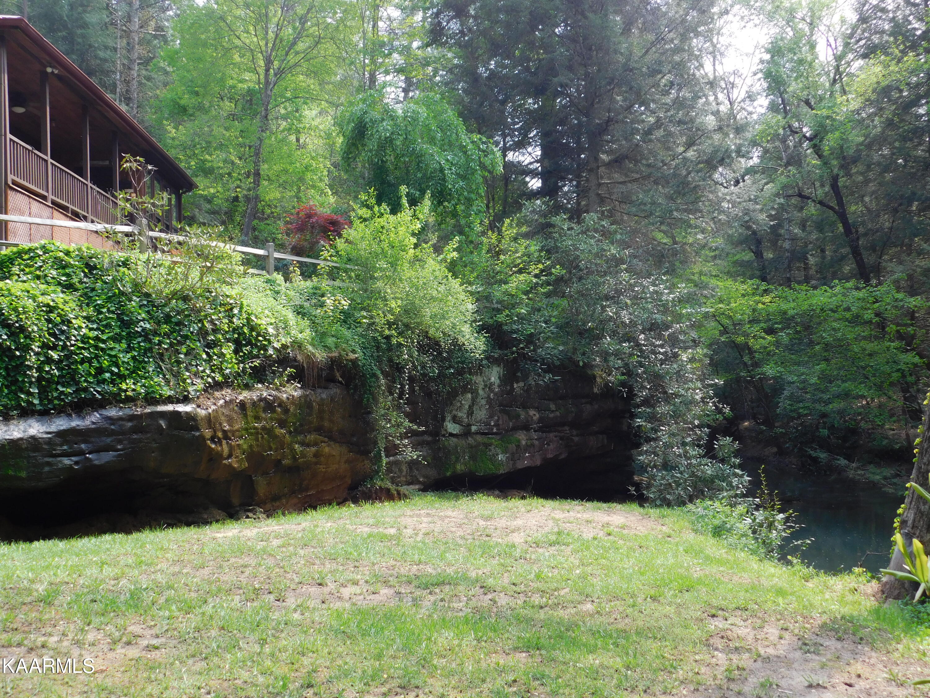 618 Coon Hollow Road Sunbright, TN 37872 - Photo 52 of 60 Wedding spot?
