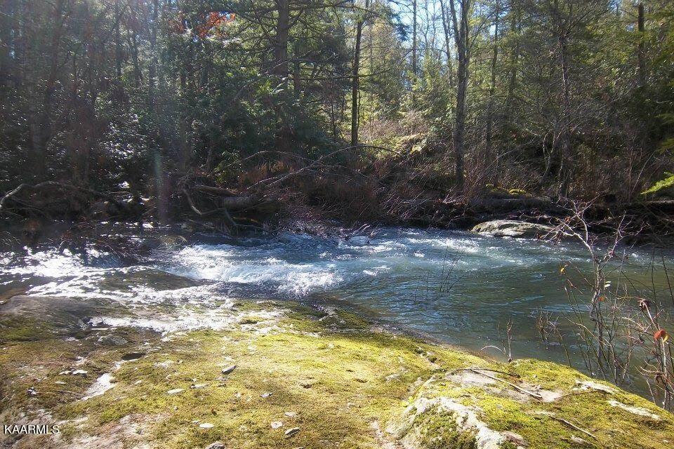 618 Coon Hollow Road Sunbright, TN 37872 - Photo 54 of 60 cascades