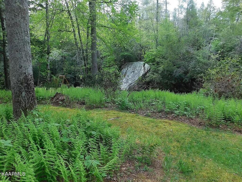 618 Coon Hollow Road Sunbright, TN 37872 - Photo 56 of 60 Hike here!