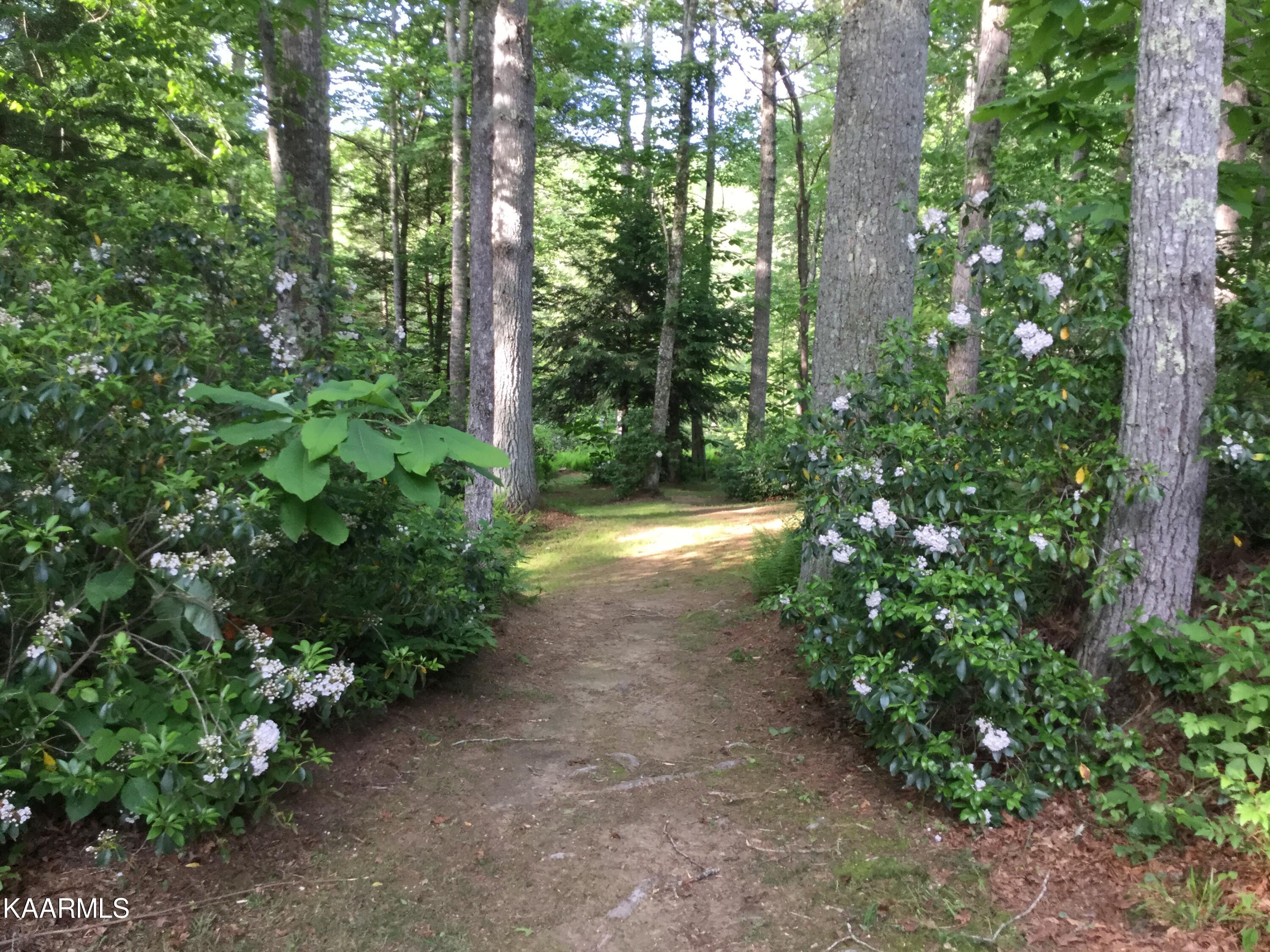 618 Coon Hollow Road Sunbright, TN 37872 - Photo 57 of 60 Laurel Path